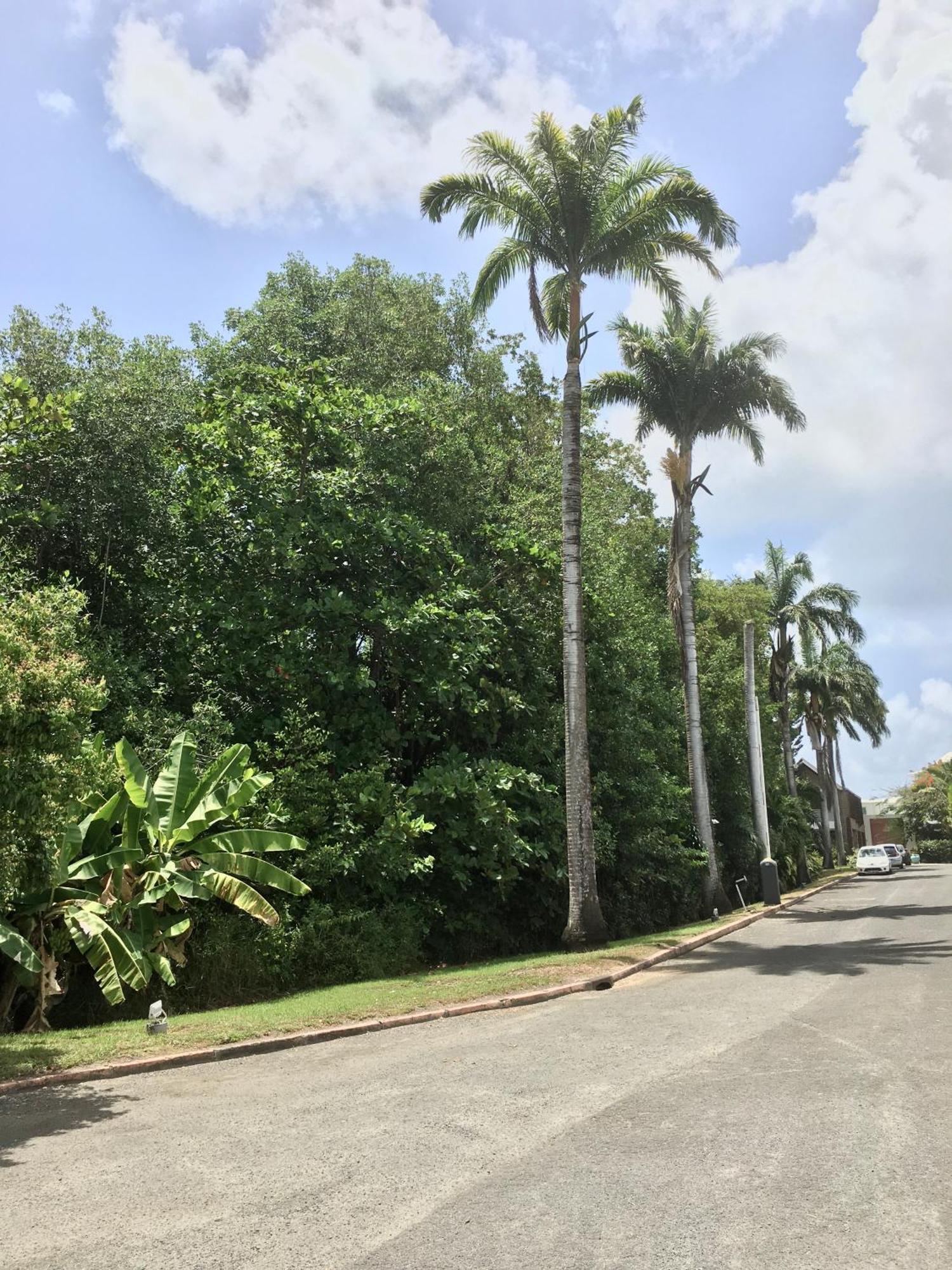 Appartement St Francois Manganao Guadeloupe Saint-Francois  Exterior photo